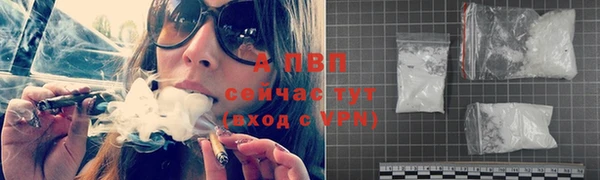 apvp Бородино
