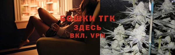 apvp Бородино