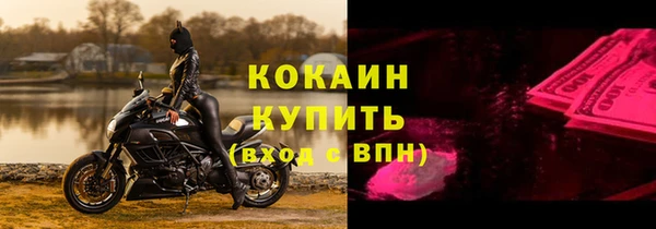 apvp Бородино
